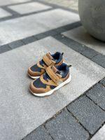 image_50423041