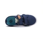 c097-51793a-royal-blue-01-ddstep-4.1000x750w