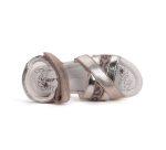 6db2c009-cc73-457b-96ad-20aed6fd1f07-ddstep-4.1000x750w
