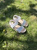 IMG_2371